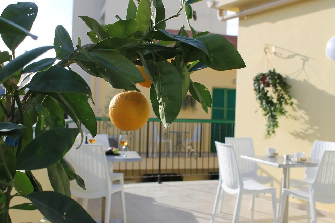 4You Studios Larnaca Apartment